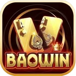 baowin logo